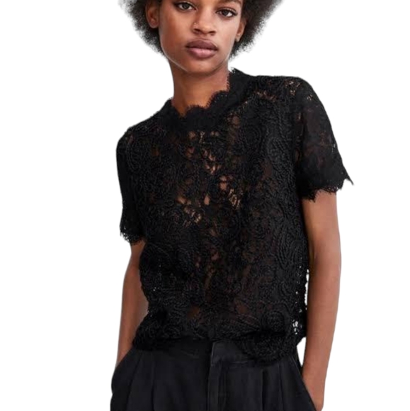 Whispers New York Lace Short Sleeve Black Textured Blouse - Picture 1 of 12